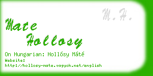 mate hollosy business card