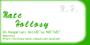 mate hollosy business card